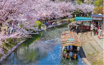 Kyoto sample photo 2