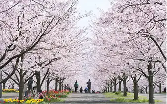 Wakayama sample photo 1