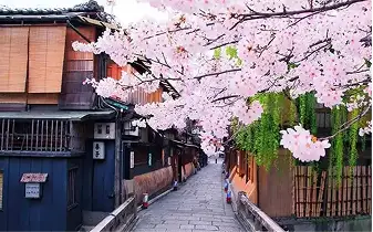 Kyoto sample photo 1