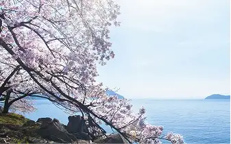 Lake Biwa sample photo 2