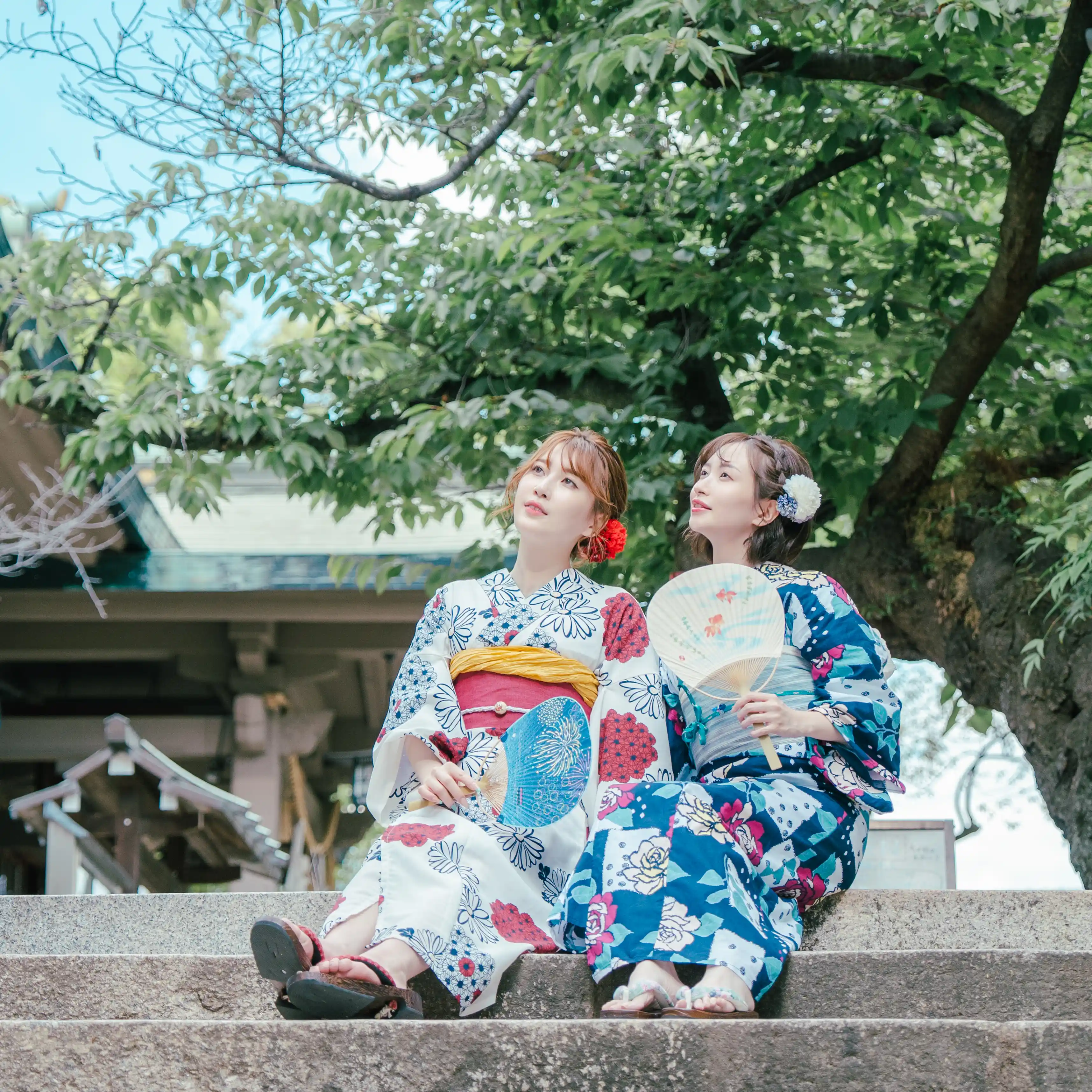 KIMONO 5