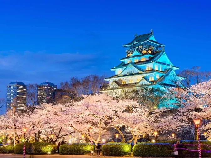 Late Sakura Experience in Osaka — Discover a Hidden Spring Moment —