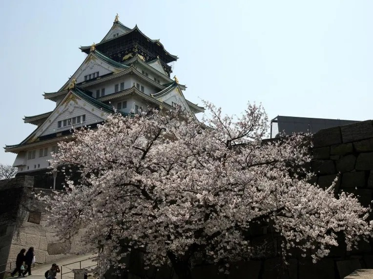 Osaka Cherry Blossoms 2026 – Osaka Castle Sakura Guide